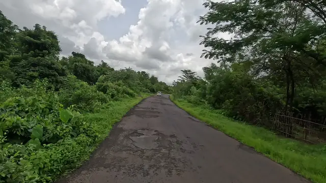 A quiet road through the green Konkan countryside near Kankavli